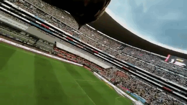 ワシに「GoPro」を付けてサッカースタジアムを飛ばした映像が凄い！！