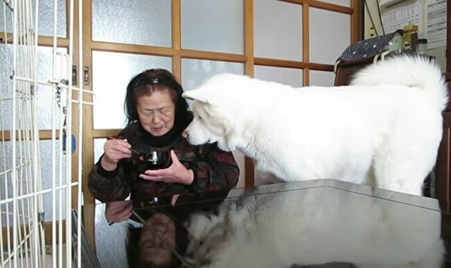 巨大な秋田犬がおばあさんを無言の圧力.jpg
